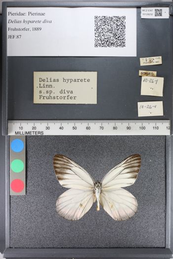 Media type: image;   Entomology 128232